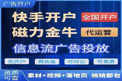 百度品牌广告的创意与执行案例